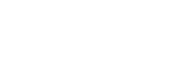 logo_tincho